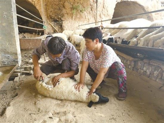 一个村民小组长的成就感