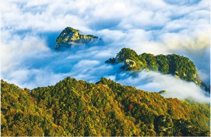 大秦岭·中国脊梁