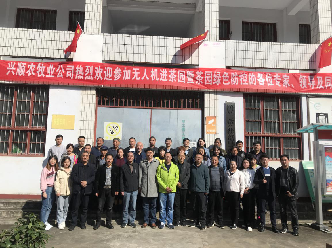 西北农林科技大学无人机进茶园暨茶园绿色防控示范活动