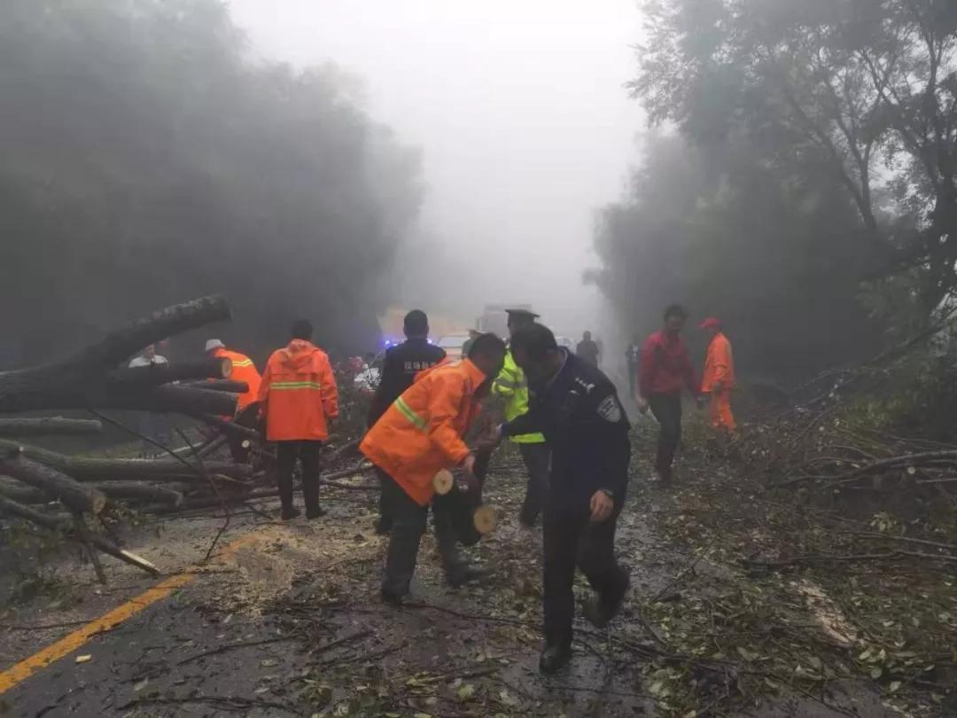 宜君县公路管理段及时清除道路塌方确保交通畅通