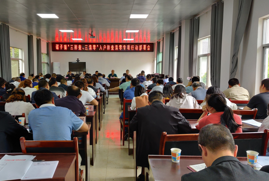 镇巴县碾子镇：使扶贫政策入户到人，让贫困群众稳定脱贫