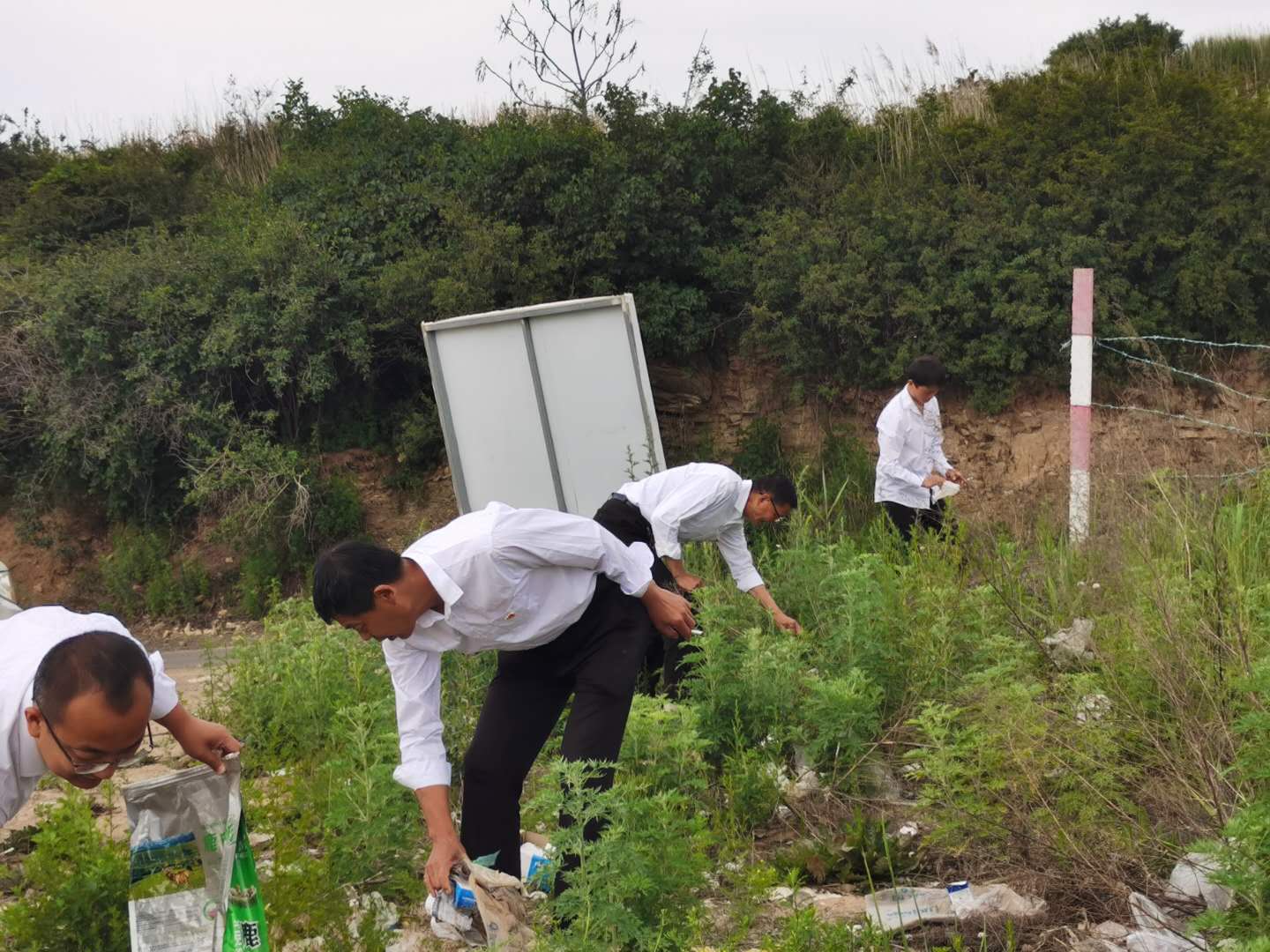 黄龙县界头庙镇：党建引领，激发乡村振兴新活力