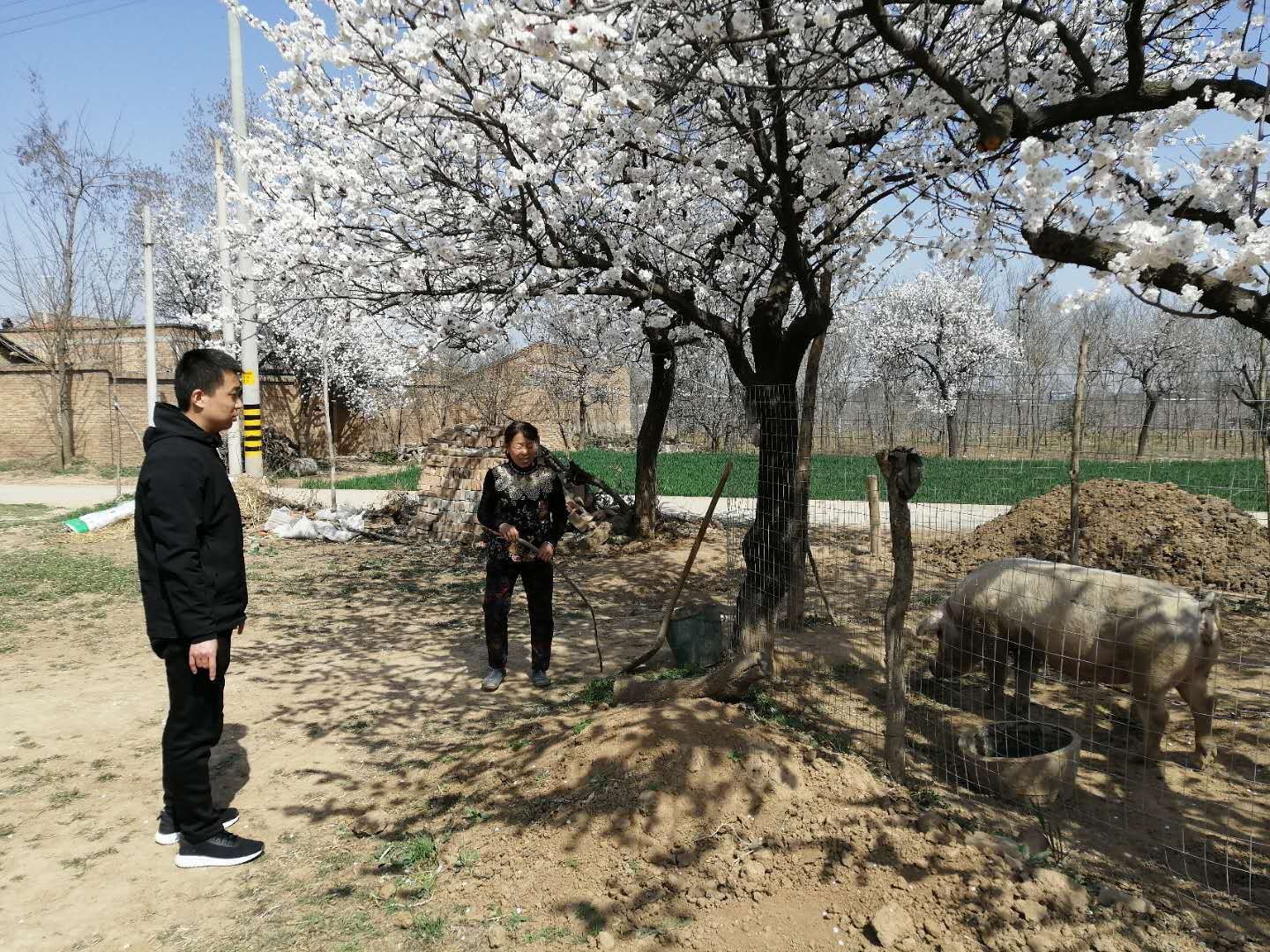 陕西政企》三原县新兴镇政.jpg