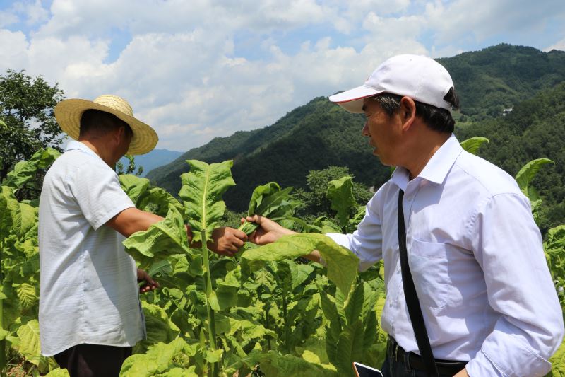 柞水县卫健局：贴近群众生产生活 提振士气奔小康