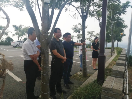汉台区河东店镇：激发农业产业发展潜能，促进现代农业园区发展