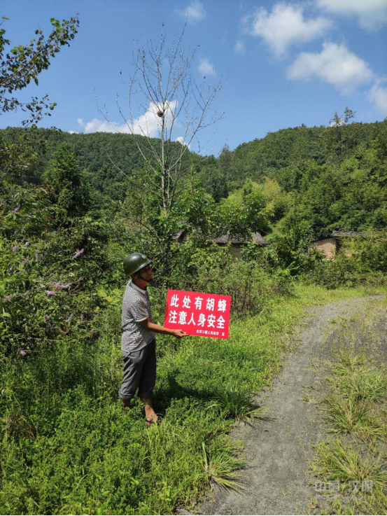 汉阴县双河口镇：多举措筑牢胡蜂防治安全屏障