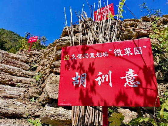 白河县：“菜园子工程”，让生活更有幸福感