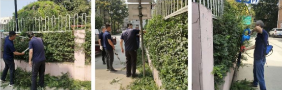 鄠邑区余下街道：党员表率带动群众  推进社区文明建设