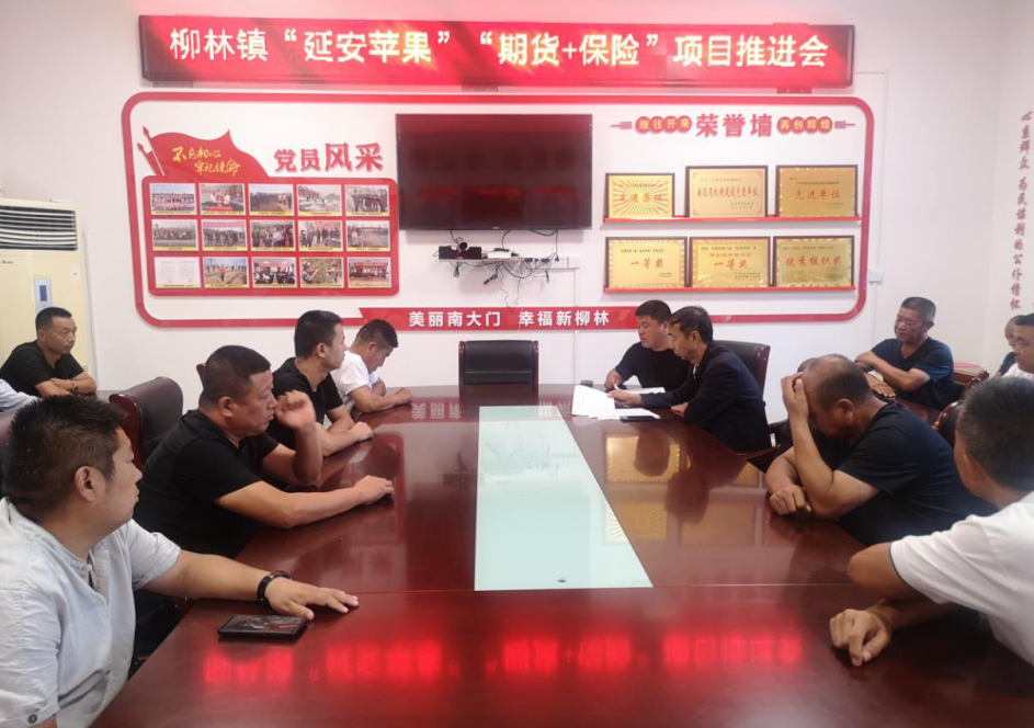 宝塔区柳林镇：“保险+期货”试点，为苹果产业注入新动能