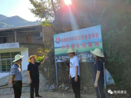 人生就像爬山，只有到山顶，才会欣赏不一样的风景——记陕煤建设咸阳分公司扶贫故事