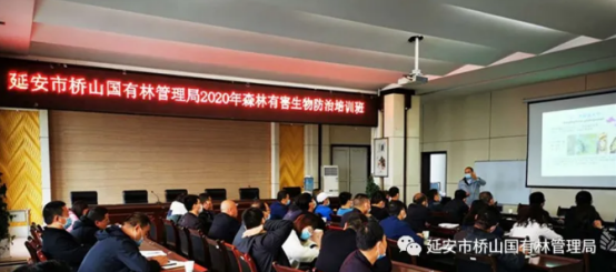 延安市桥山国有林管理局：强化森林有害生物防治培训，助推林业高质量发展