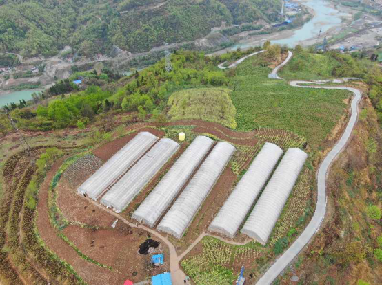 西北综合勘察设计研究院举办“阳山产业园水泥路竣工开通仪式”