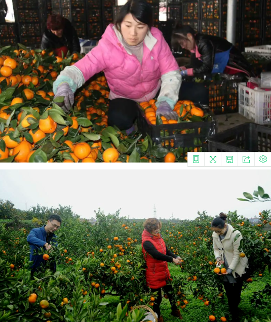 汉台区河东店镇： 全省林业工作者为花果山乡村旅游点赞！