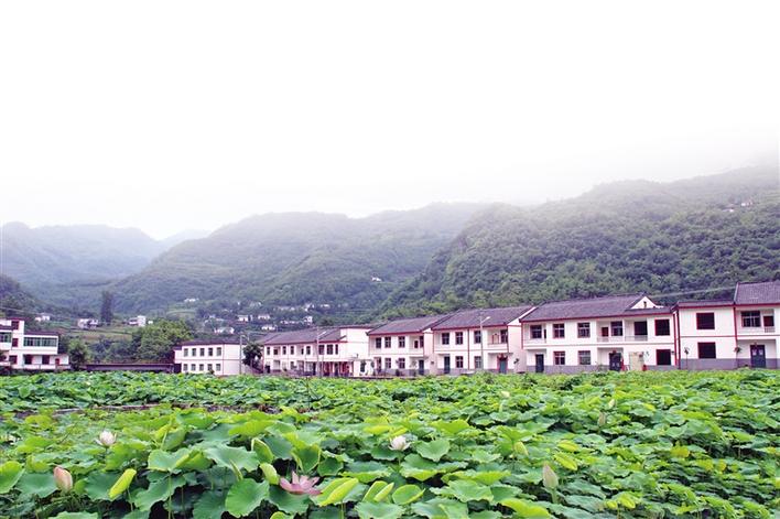 十万乡亲出深山——白河县易地搬迁中的故事