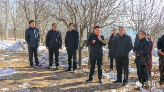 延安市林业局：强化监督管理  巩固退耕还林成果