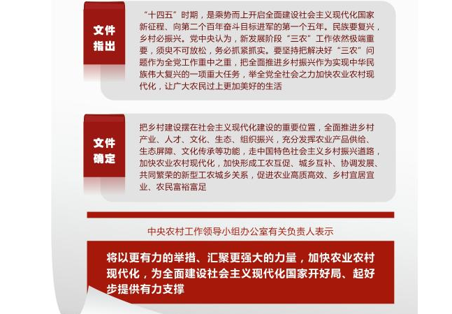 2021年中央一号文件公布 提出全面推进乡村振兴