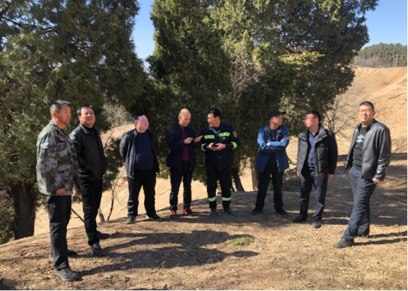 延安市劳山国有林管理局：强化督导检查， 建好生态林场