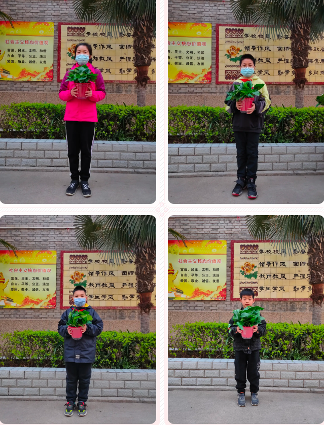 播种希望，点亮绿色，西安师范附属小学与十四运有场彩色的约会
