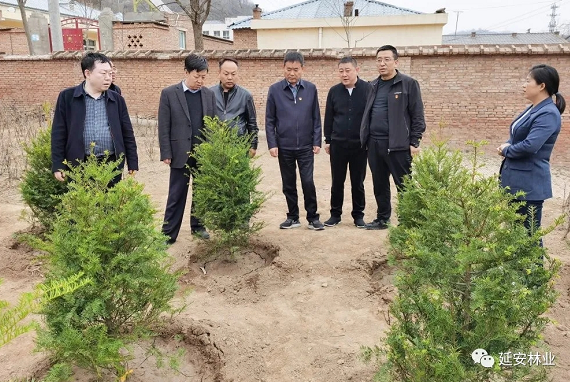 延安市林业局：深入基层做调研，智慧林业促平安