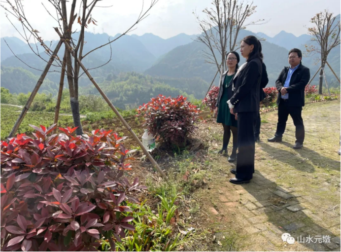 勉县元墩镇：发挥本地特色,做强产业优势