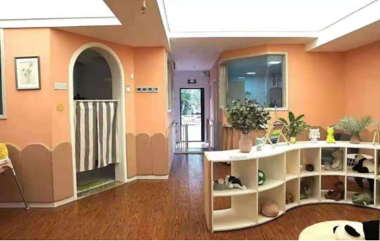 喜报！西交小雅托育中心?陕煤被西安市卫健委命名为首批《3岁以下婴幼儿照护服务试点机构》