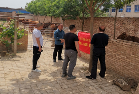 渭南市澄城县动物防疫站：学党史办实事，为民服务在行动