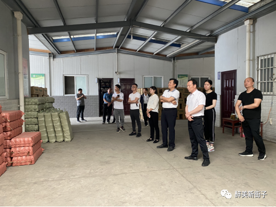 勉县新街子镇：凝聚智慧力量，筑牢基层堡垒