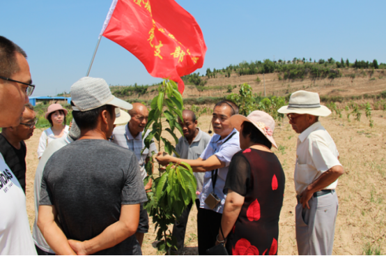 澄城县农业农村局果业中心党支部技术下乡服务忙