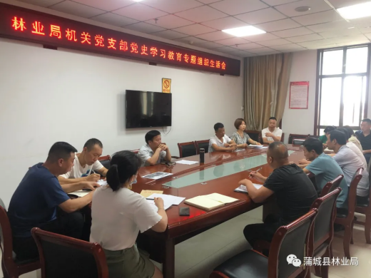 蒲城县林业局:召开党史学习教育专题组织生活会