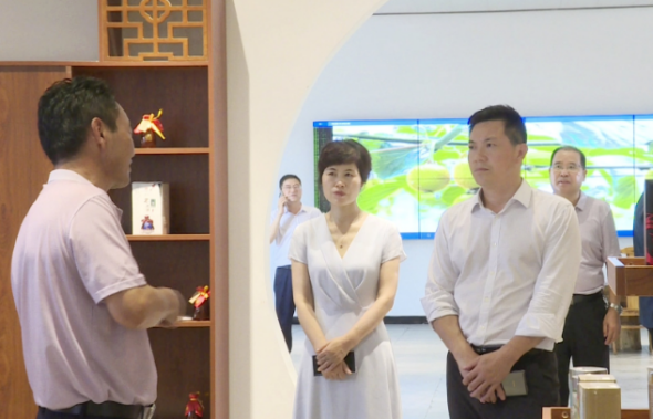 西乡县上领导调研督导重点项目、“4111”工程及疫情防控工作