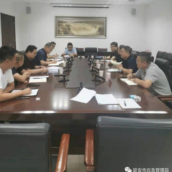 延安市应急管理局召开党史学习教育专题组织生活会