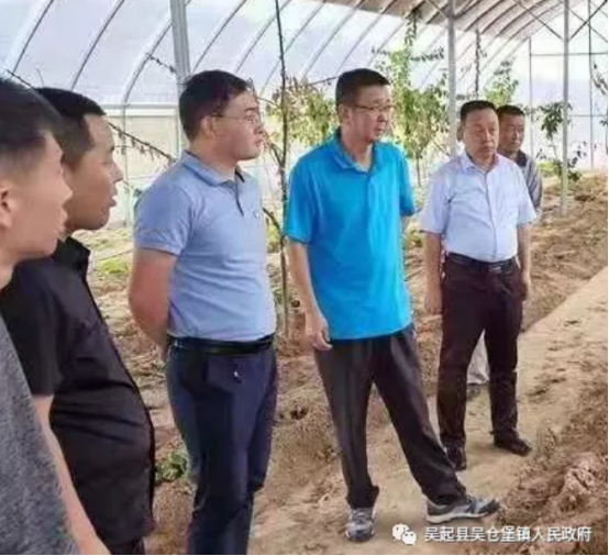 吴起县吴仓堡镇：同心协力齐行动   抗旱减灾保生产