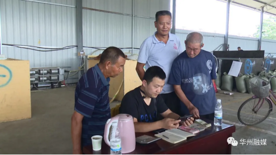 渭南市华州区：网络云直播，助力花椒增产增收