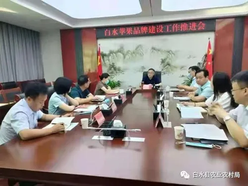白水县农业农村局：齐心聚力铸品牌 振兴乡村谋发展