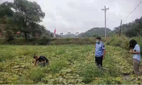 吴起县市场监督管理局：助推企业开展有机产品认证
