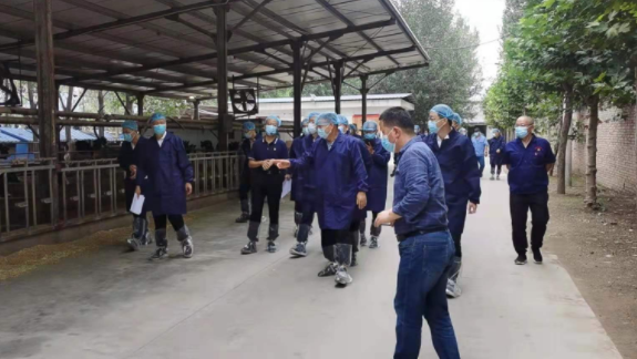 华阴市农业农村局：省政协调研华阴乳制品产业链建设