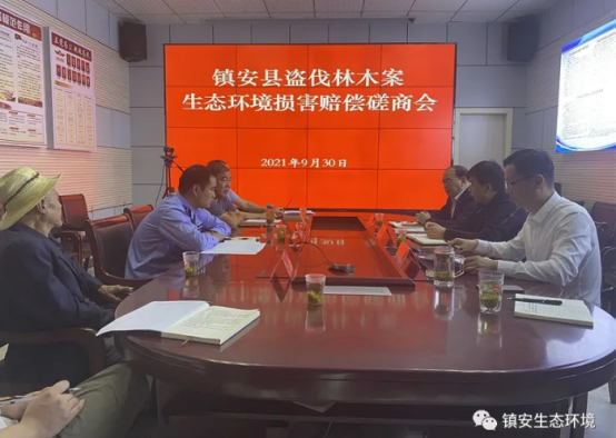 镇安县环境分局：成功磋商一起非法盗伐林木生态环境损害赔偿案