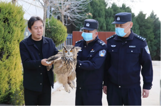 甘泉县公安局成功救助国家二级保护动物