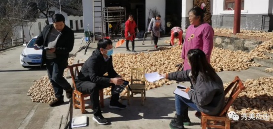 丹凤县峦庄镇：拓展脱贫攻坚成果，接续推进乡村振兴