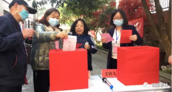 选好民意“代言人”！城固县柳林镇圆满完成县镇两级人大代表换届选举工作