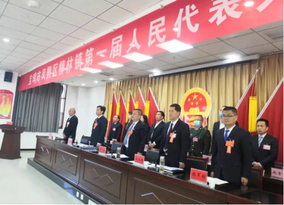 宝鸡市凤翔区柳林镇：第一届人民代表大会第一次会议胜利召开