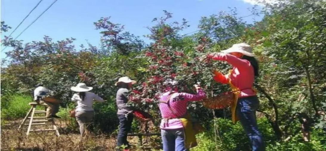 ec2319ad063ef01f8fe264e6c689f93