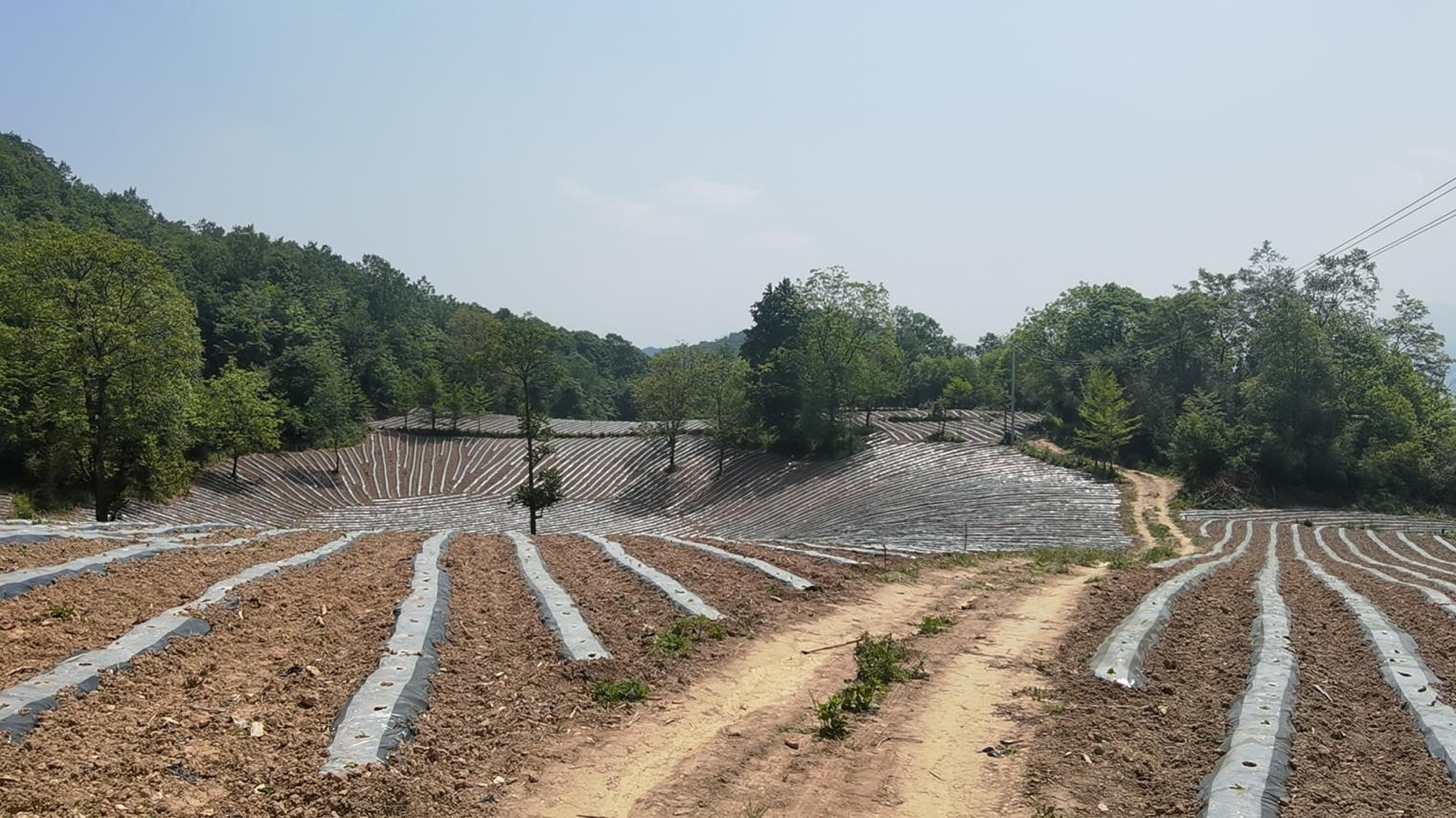 微信图片_20230516112909