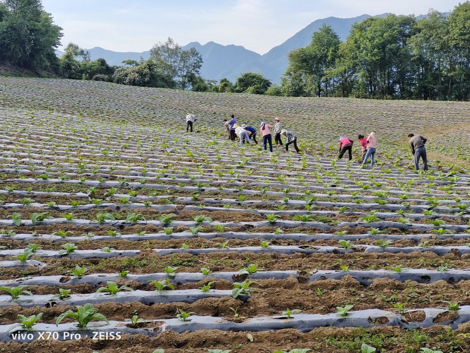 微信图片_20230608101148