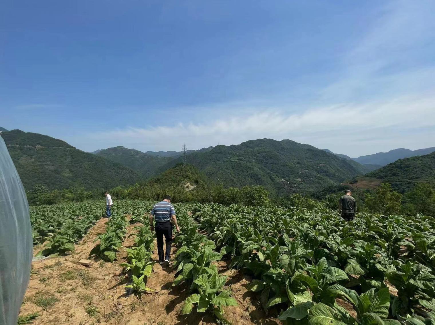 ab9135e796bb50ec7306c66ec73b82b