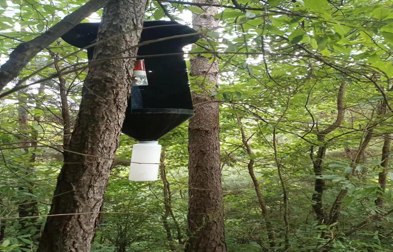 90d08777584cbc31c16d6ab0f2ab738