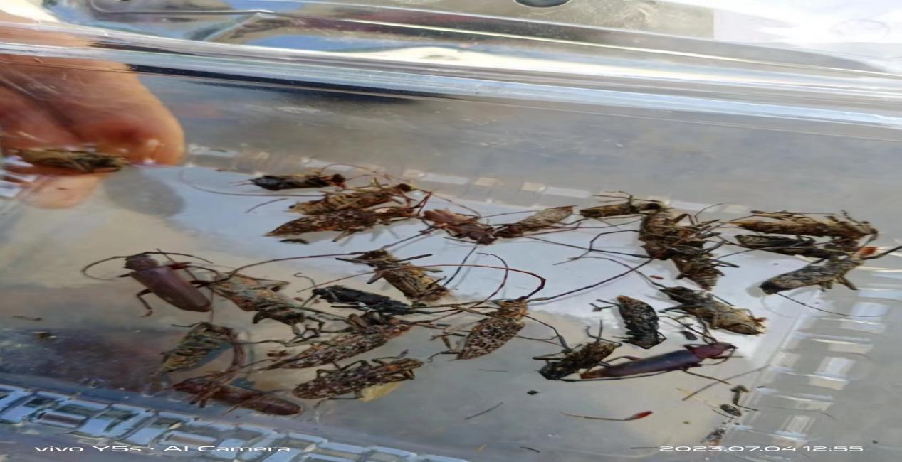 be24f8ca3d280e9411c0da9871d7806