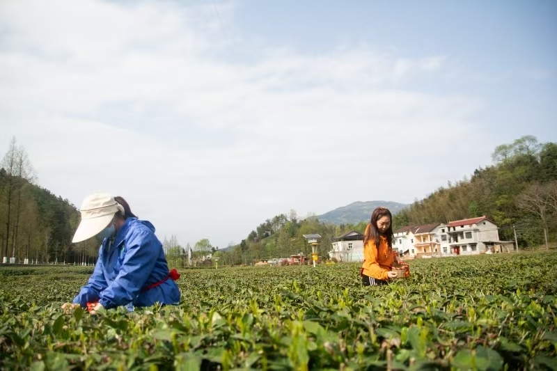 211ad090b9486a8ec2306a6d0767c73