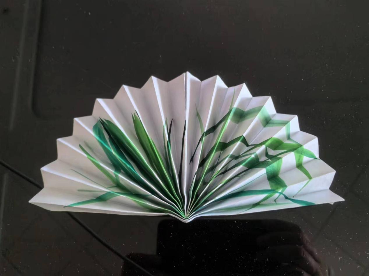 微信图片_20240624205504