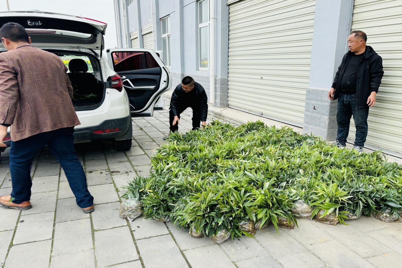 36dd21b66f2514dc6884c207373396e